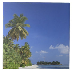 Maldives, Meemu Atoll, Medhufushi Island Ceramic Tile