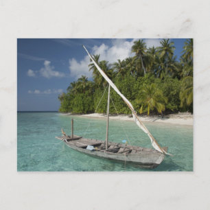 Maldives, North Male Atoll, Island of Kuda Postcard