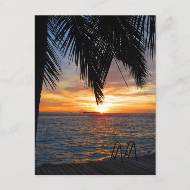 Maldives Postcard (Front)