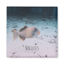 Maldives Underwater Coral Fish Souvenir