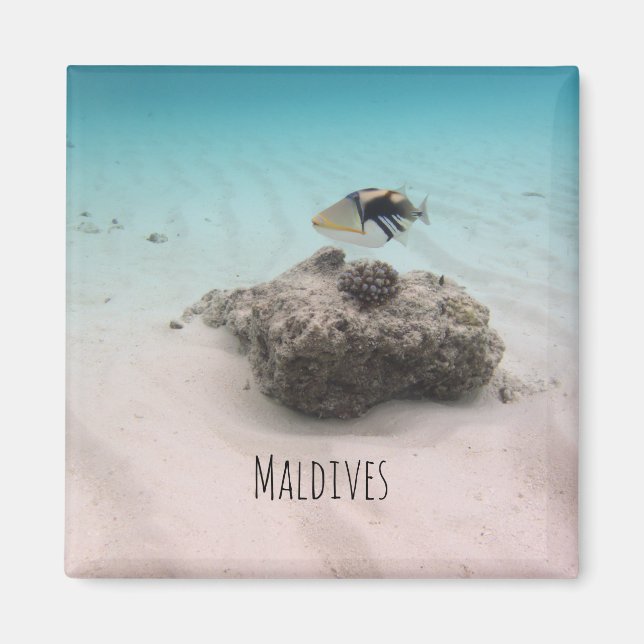 Maldives White Sand Lagoon Coral Fish Souvenir Magnet (Front)
