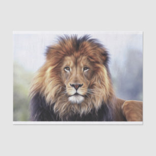 Male African Lion  Tissue Paper