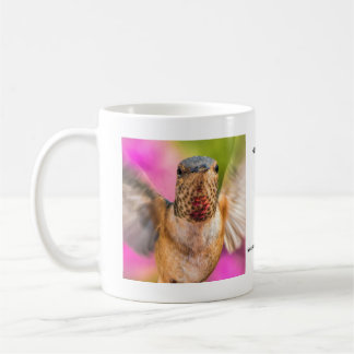 Male Allen's Hummingbird Mug