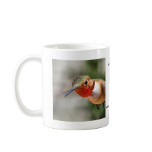 Male Allen's Hummingbird Mug
