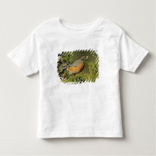 Male American Robin eating juniper tree Toddler T-Shirt
