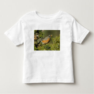 Male American Robin eating juniper tree Toddler T-Shirt