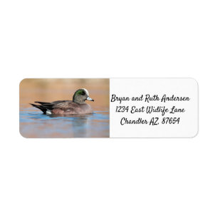Male American Wigeon Return Address Label