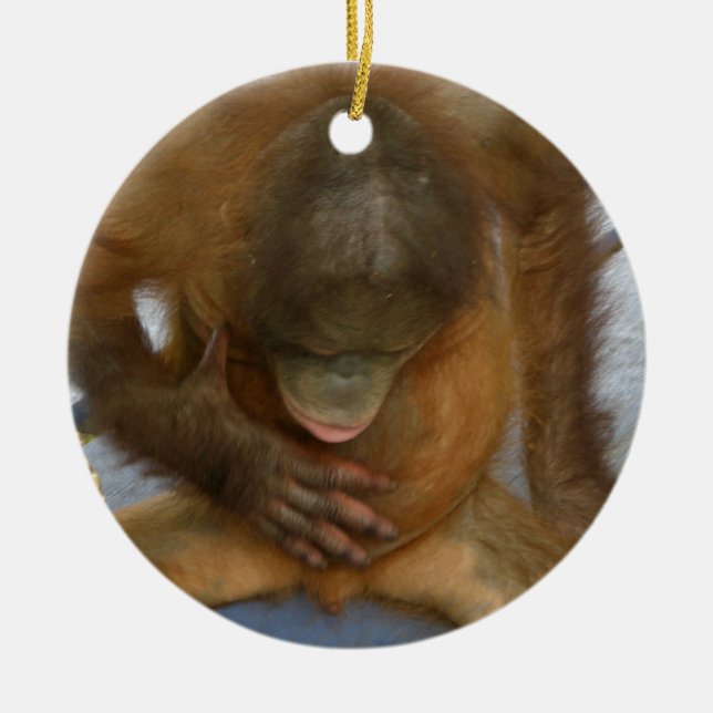 Male Anatomy Jokes Ceramic Ornament (Front)