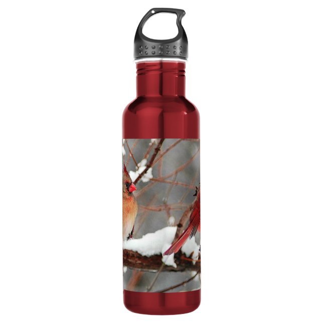male and cardinals 710 ml water bottle (Front)