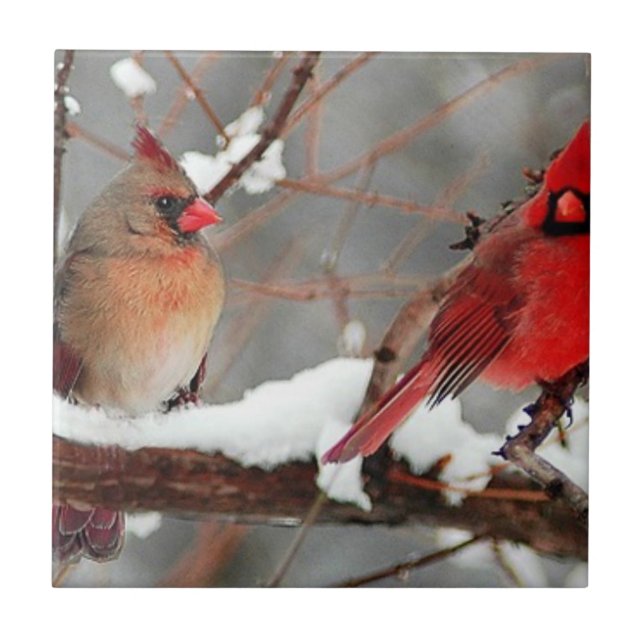 male and female cardinals ceramic tile (Front)