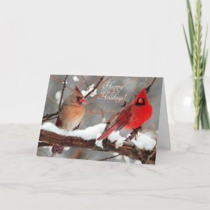 male and female cardinals holiday card