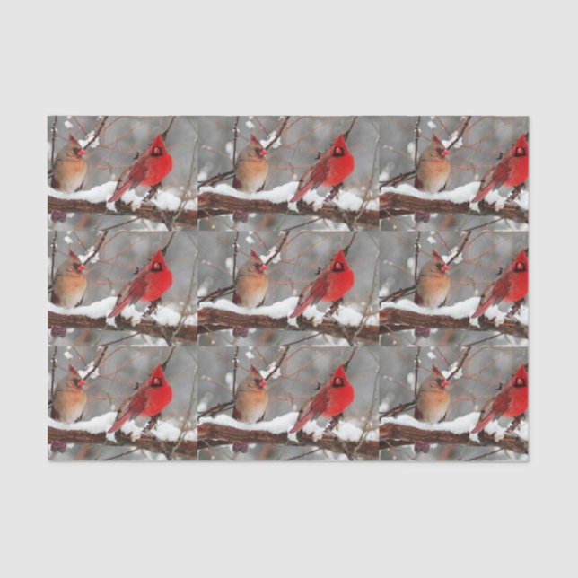 male and female cardinals tissue paper (Front)