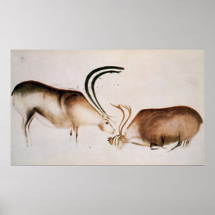 Male and female deer poster