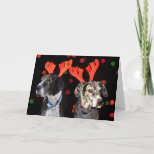 Male and female Great Dane in reindeer antlers Holiday Card