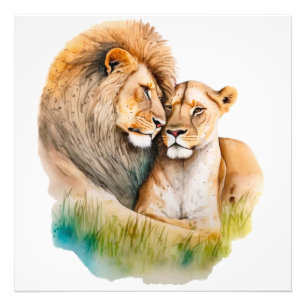 Male and Female Lion & Lioness in Love  Photo Print