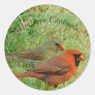 Male and Female Northern Cardinal Sticker Set