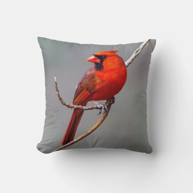 Male and Female Northern Cardinal Throw Pillow (Front)