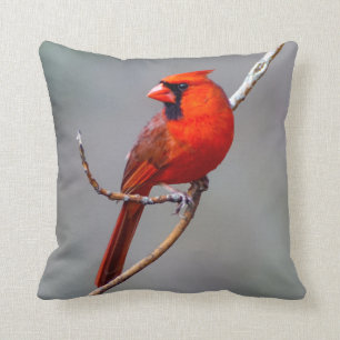 Male and Female Northern Cardinal Throw Pillow