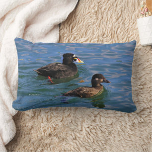 Male and Female Surf Scoter Ducks at the Pier Lumbar Cushion