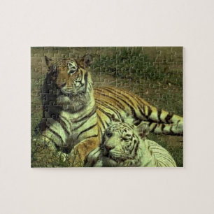 Male And Female Tigers Jigsaw Puzzle