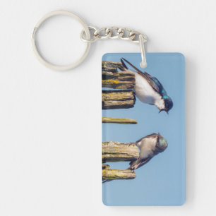 Male and female Tree Swallow Key Ring