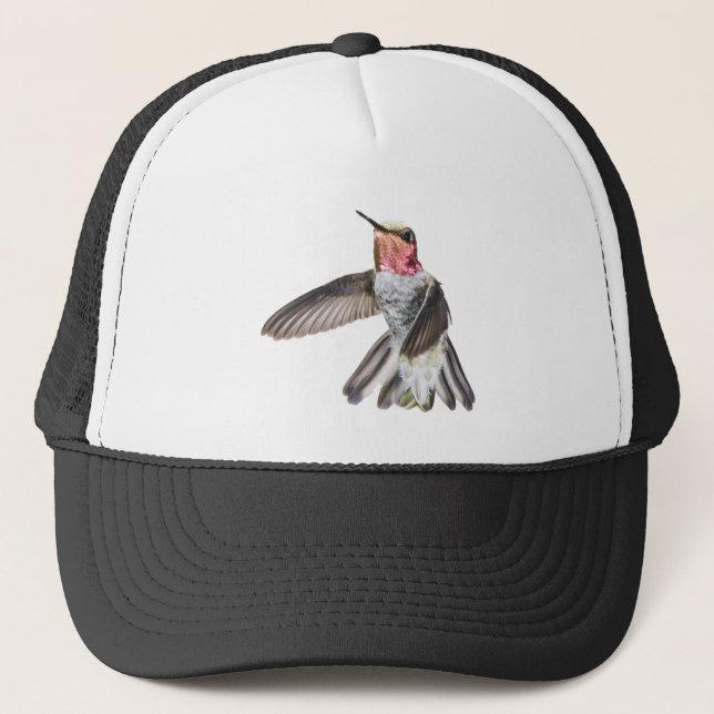 Male Anna's Hummingbird hat (Front)