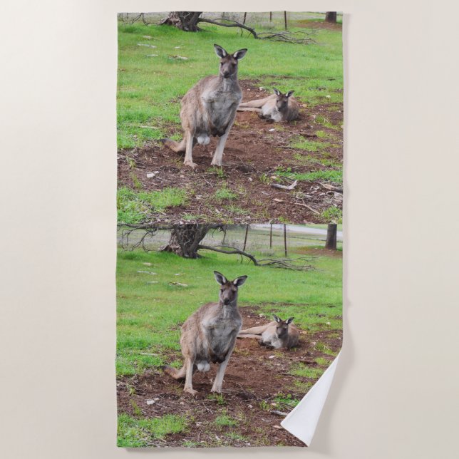 Male Australian Kangaroo, Beach Towel (Front)