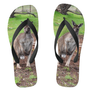 Male Australian Kangaroo,  Flip Flops