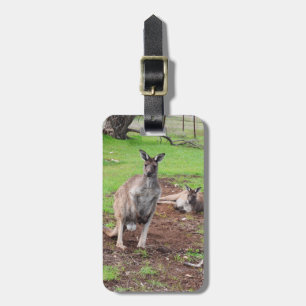 Male Australian Kangaroo, Luggage Tag