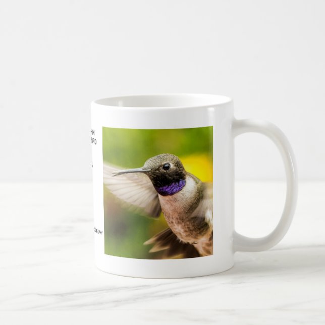 Male Black Chin Hummingbird Mug (Right)