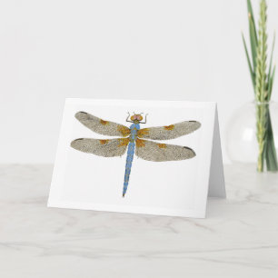 Male Bleached Skimmer Dragonfly Card