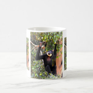 Male Buff cheeked gibbon Coffee Mug