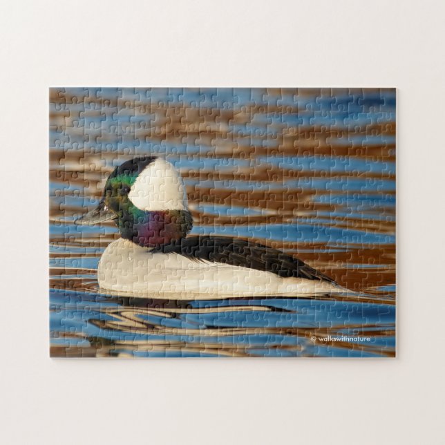 Male Bufflehead in the Afternoon Sun Jigsaw Puzzle (Horizontal)