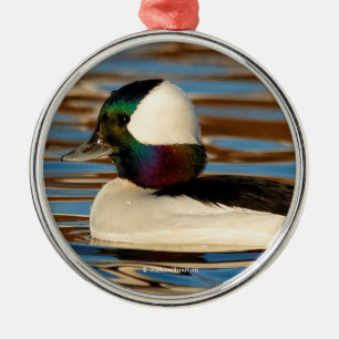 Male Bufflehead in the Afternoon Sun Metal Ornament