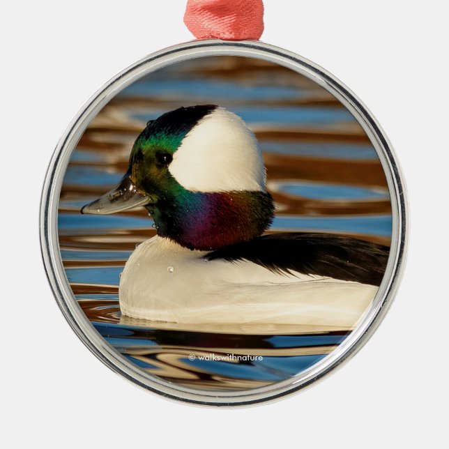 Male Bufflehead in the Afternoon Sun Metal Ornament (Front)