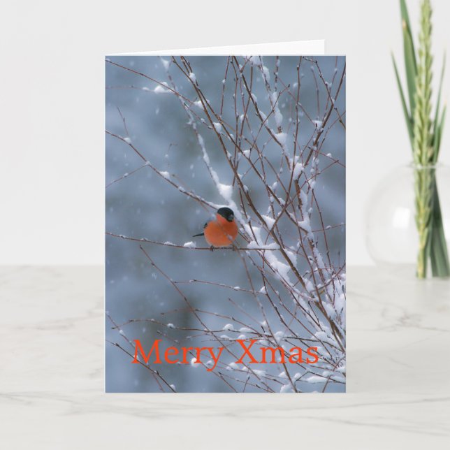 Male Bullfinch in the Snow Merry Xmas Card (Front)