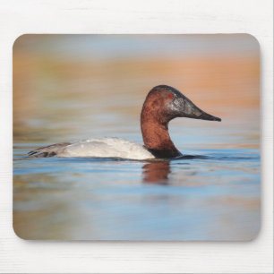 Male canvasback duck mouse pad