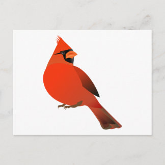 Male Cardinal Bird Postcard
