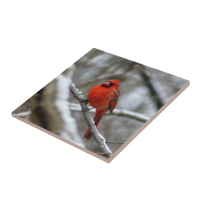 Male Cardinal Ceramic Tile (Side)