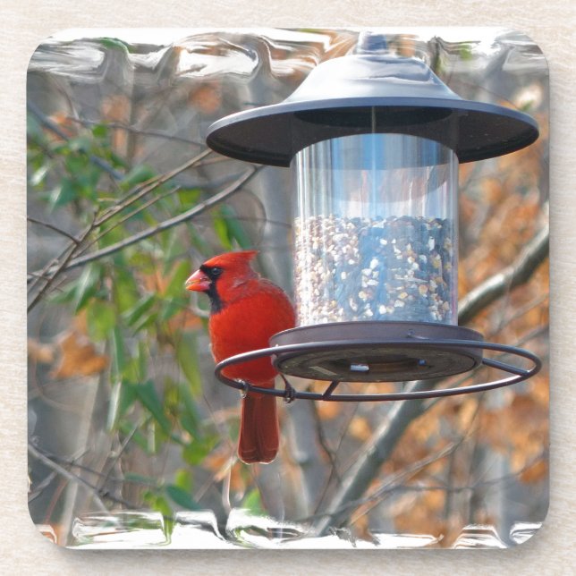 Male Cardinal Coaster (Front)