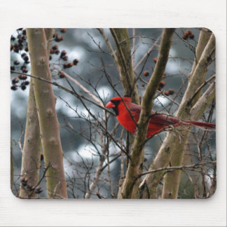 Male Cardinal Concentrating Mouse Pad