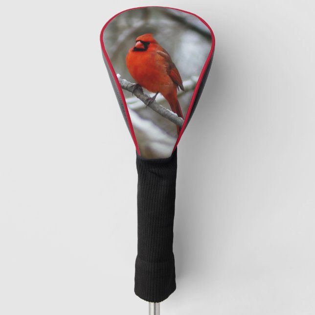 Male Cardinal Golf Head Cover (Front)