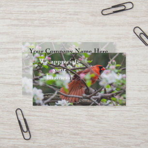 Male Cardinal in Springtime Business Card