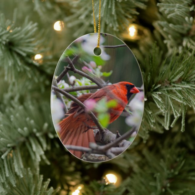 Male Cardinal in Springtime Ceramic Ornament (Tree)