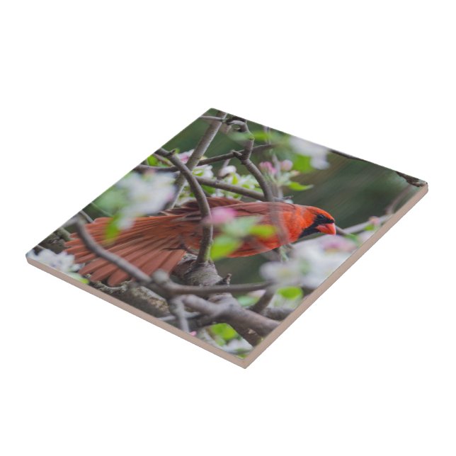 Male Cardinal in Springtime Ceramic Tile (Side)