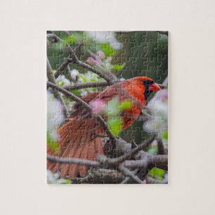 Male Cardinal in Springtime Jigsaw Puzzle