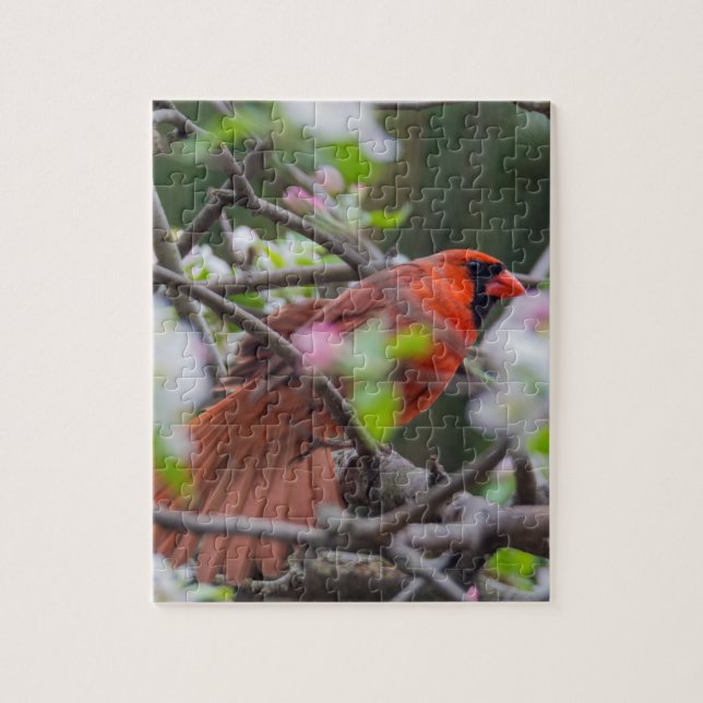 Male Cardinal in Springtime Jigsaw Puzzle (Vertical)