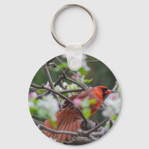 Male Cardinal in Springtime Key Ring