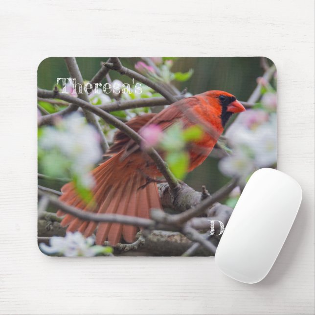Male Cardinal in Springtime Mouse Pad (With Mouse)