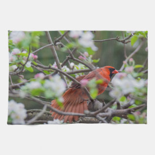 Male Cardinal in Springtime Tea Towel